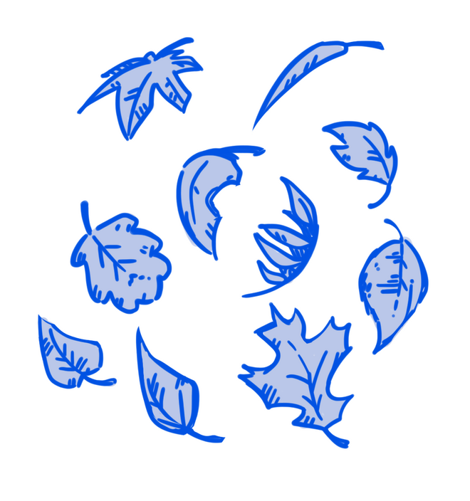 Leaf illustrations that were used during "Autumn December"
